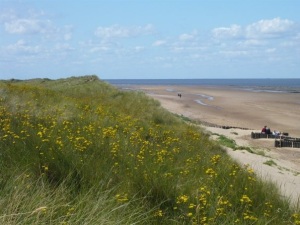 North West Norfolk, setting for BOOT CAMP BRIDE (2)